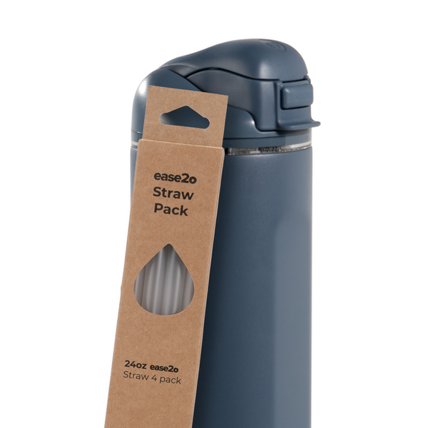 Ease2o Straws 4 Pack 24oz B7